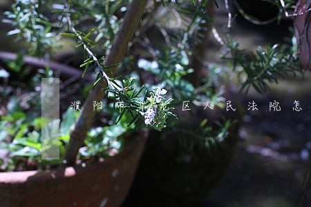 濮阳市华龙区人民法院怎么样 濮阳市华龙区人民法院怎么样