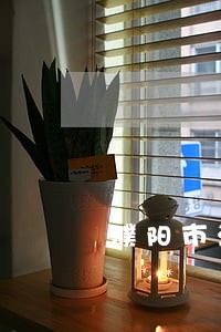 濮阳市法律援助中心地址 濮阳市法律援助中心地址