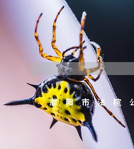 濮阳市法院公开网