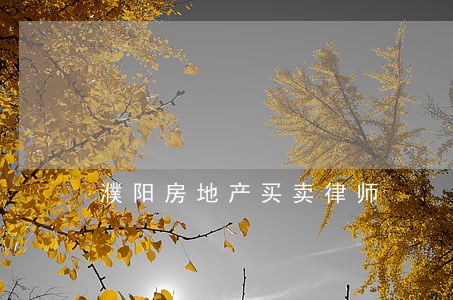 濮阳房地产买卖律师 濮阳房地产买卖律师