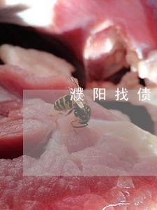 濮阳找债务合同律师电话免费咨询 濮阳找债务合同律师电话免费咨询