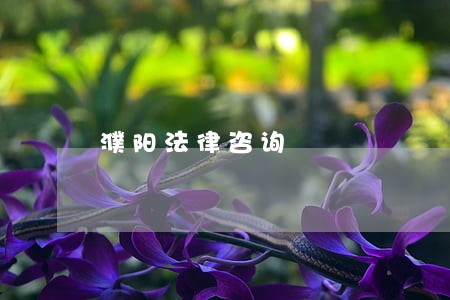 濮阳法律咨询 濮阳法律咨询