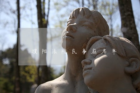 濮阳法院民事庭名单 濮阳法院民事庭名单