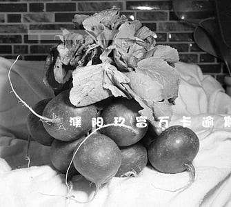 濮阳玖富万卡逾期还不上二次分期 濮阳玖富万卡逾期还不上二次分期