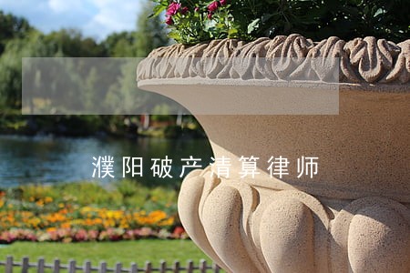 濮阳破产清算律师