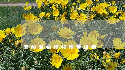 濮阳离婚债权债务律师 濮阳离婚债权债务律师
