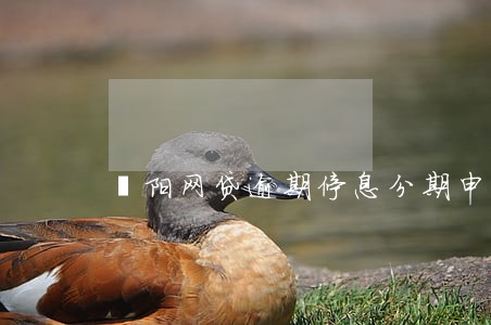 濮阳网贷逾期停息分期申请条件 濮阳网贷逾期停息分期申请条件