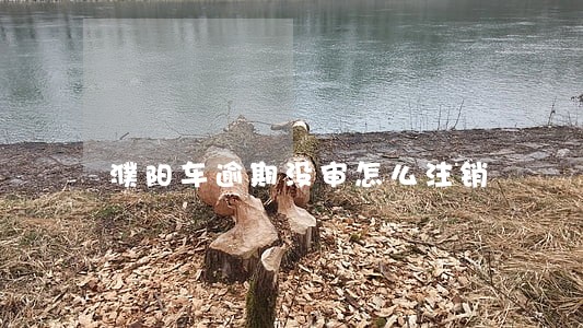 濮阳车逾期没审怎么注销 濮阳车逾期没审怎么注销