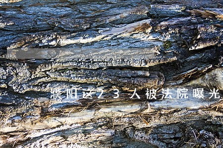 濮阳这23人被法院曝光 濮阳这23人被法院曝光