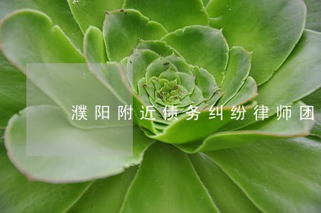 濮阳附近债务纠纷律师团队 濮阳附近债务纠纷律师团队