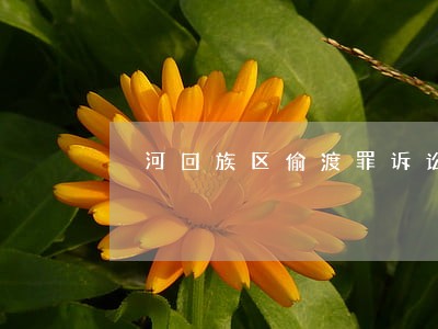 瀍河回族区偷渡罪诉讼律师 瀍河回族区偷渡罪诉讼律师