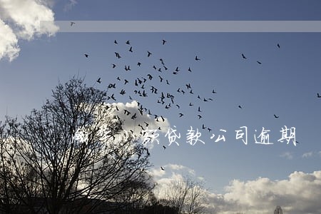 瀚华小额贷款公司逾期 瀚华小额贷款公司逾期