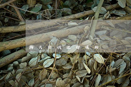 瀚天新城法律援助 瀚天新城法律援助