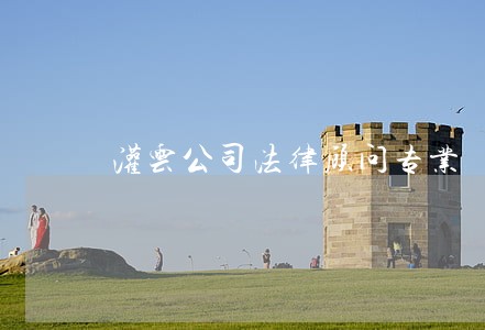 灌云公司法律顾问专业 灌云公司法律顾问专业