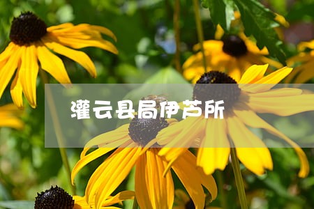灌云县局伊芦所 灌云县局伊芦所