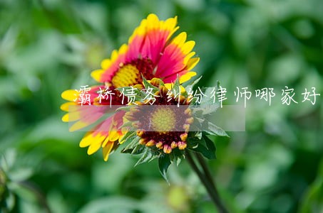 灞桥债务纠纷律师哪家好 灞桥债务纠纷律师哪家好