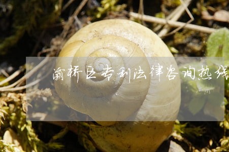 灞桥区专利法律咨询热线 灞桥区专利法律咨询热线
