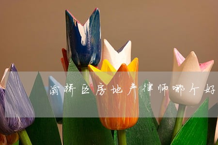 灞桥区房地产律师哪个好 灞桥区房地产律师哪个好