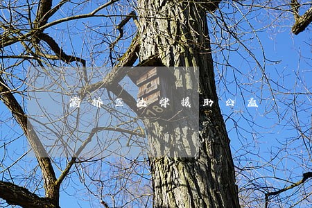 灞桥区法律援助公益 灞桥区法律援助公益