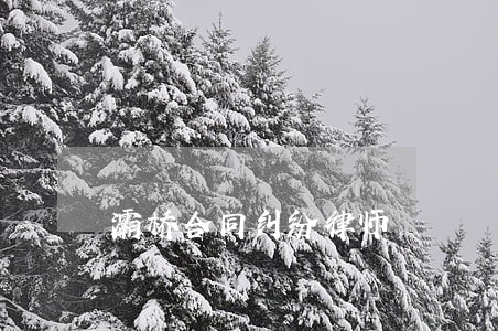 灞桥合同纠纷律师 灞桥合同纠纷律师