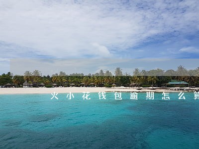 火小花钱包逾期怎么算 火小花钱包逾期怎么算