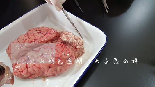 火山钱包逾期一天会怎么样 火山钱包逾期一天会怎么样
