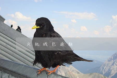 火机钱包逾期 火机钱包逾期