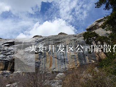 火炬开发区公司解散在线律师 火炬开发区公司解散在线律师