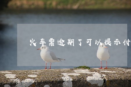 火车票逾期了可以提示付款吗 火车票逾期了可以提示付款吗
