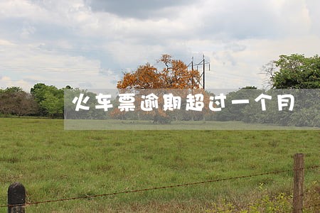 火车票逾期超过一个月 火车票逾期超过一个月
