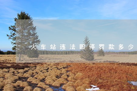 火车站违法即停罚款多少钱 火车站违法即停罚款多少钱
