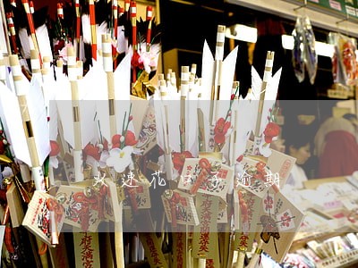 火速花口子逾期 火速花口子逾期