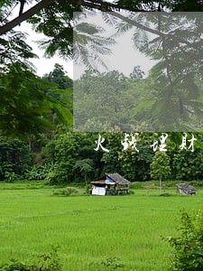 火钱理财逾期到什么时候