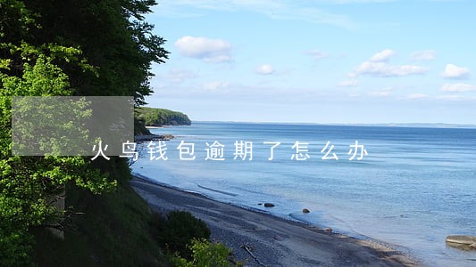 火鸟钱包逾期了怎么办 火鸟钱包逾期了怎么办