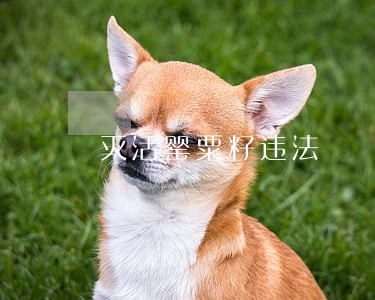 灭活罂粟籽违法 灭活罂粟籽违法