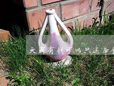 灭霸有钱可以只还本金吗 灭霸有钱可以只还本金吗