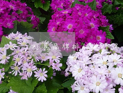 灯具品牌排行前十名 灯具品牌排行前十名