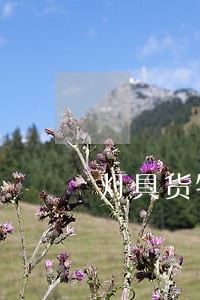 灯具货物逾期赔偿条约 灯具货物逾期赔偿条约