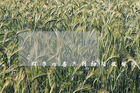 灯市口房产纠纷处理律师 灯市口房产纠纷处理律师