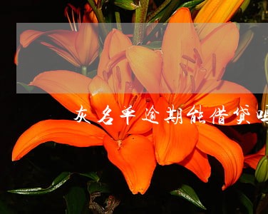灰名单逾期能借贷吗 灰名单逾期能借贷吗