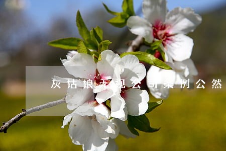 灰姑娘无视公司条例公然吃零食 灰姑娘无视公司条例公然吃零食