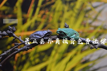 灵丘县外商投资免费法律咨询热线