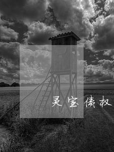 灵宝债权融资律师