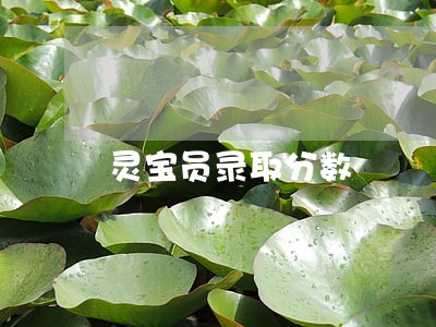 灵宝员录取分数