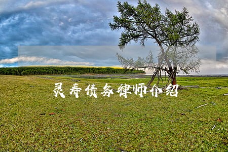 灵寿债务律师介绍 灵寿债务律师介绍