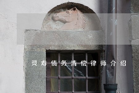 灵寿债务清偿律师介绍 灵寿债务清偿律师介绍