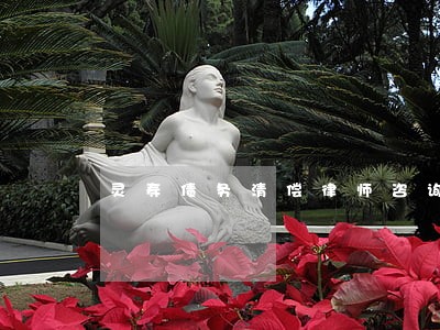 灵寿债务清偿律师咨询专线 灵寿债务清偿律师咨询专线