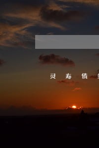 灵寿债务清偿律师服务网站 灵寿债务清偿律师服务网站