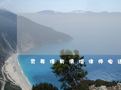 灵寿债务清偿律师电话多少 灵寿债务清偿律师电话多少