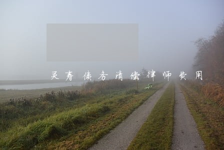 灵寿债务清偿律师费用